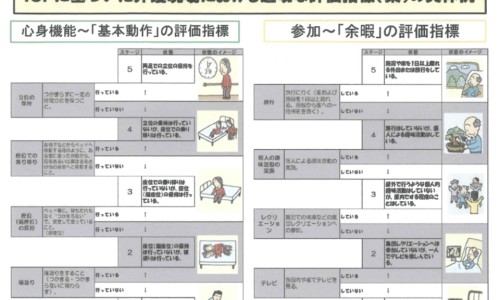牡丹鹦鹉四个月怎么不下蛋网-分享牡丹鹦鹉4个月左右图片，牡丹鹦鹉4个月发育情况知识库