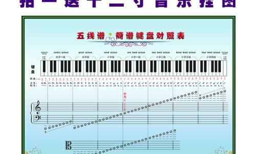 牡丹鹦鹉的四个月等于多少岁了-牡丹鹦鹉四个月怎么不下蛋网-分享牡丹鹦鹉4个月左右图片，牡丹鹦鹉4个月发育情况知识库