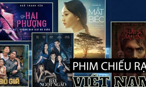 牡丹鹦鹉4个月左右图片-牡丹鹦鹉四个月怎么不下蛋网-分享牡丹鹦鹉4个月左右图片，牡丹鹦鹉4个月发育情况知识库