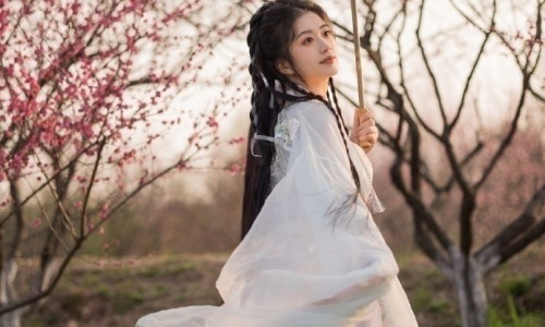 牡丹鹦鹉四个月怎么不下蛋网-分享牡丹鹦鹉4个月左右图片，牡丹鹦鹉4个月发育情况知识库